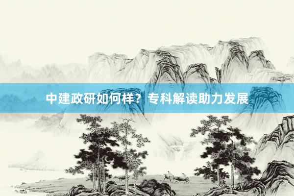 中建政研如何样？专科解读助力发展