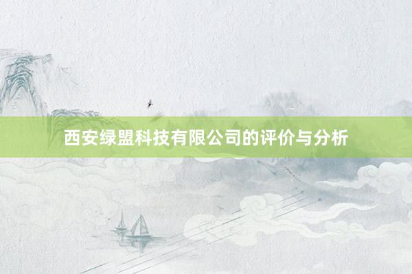 西安绿盟科技有限公司的评价与分析