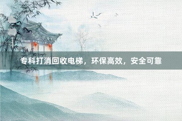 专科打消回收电梯，环保高效，安全可靠